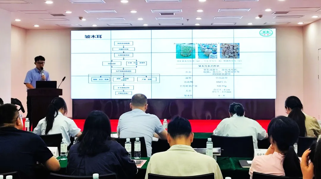110.webp.png