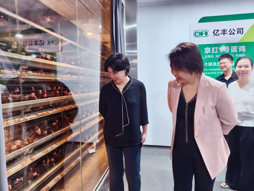 圖片2.png
